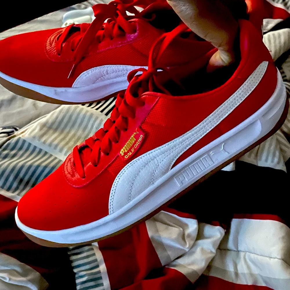 Puma